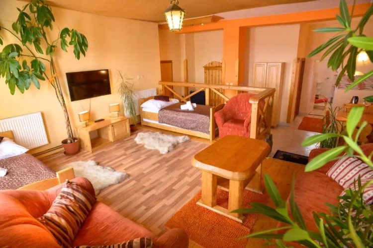 Deluxe Apartment with balcony