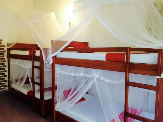 Bed in Dorm