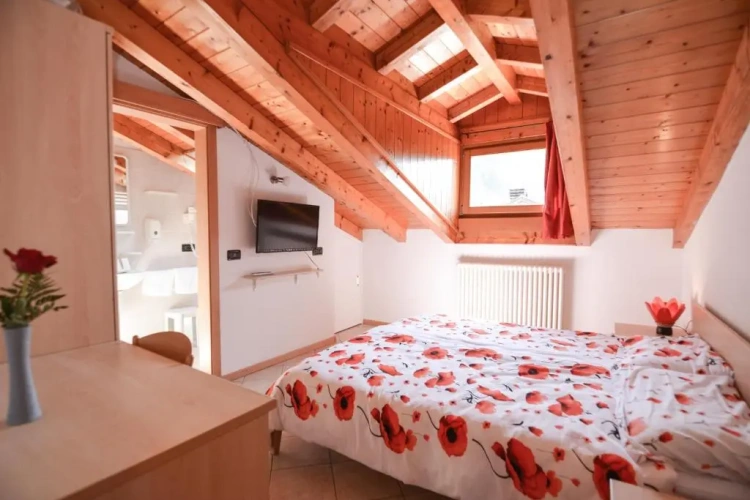 Standard Double Attic room