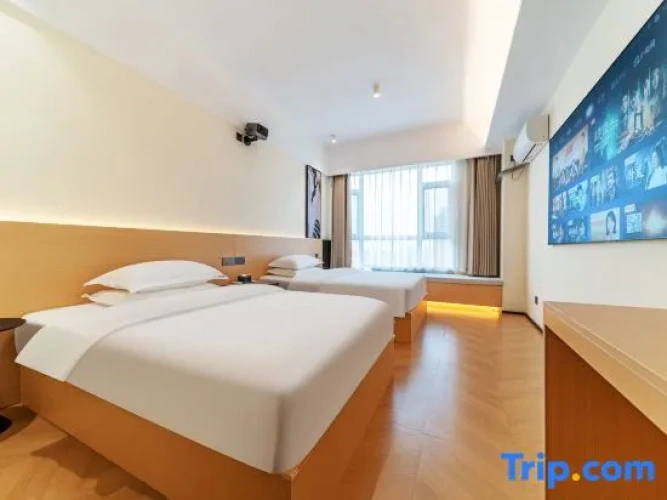 Business Twin Family room