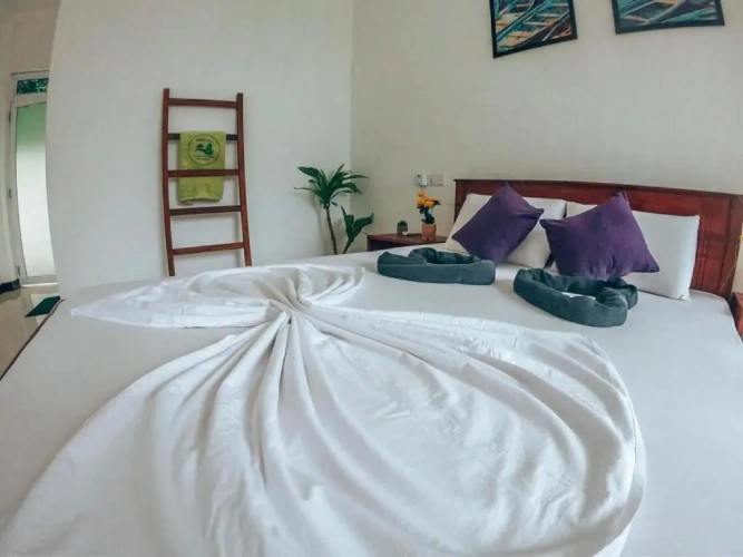 Standard Double room with pool view