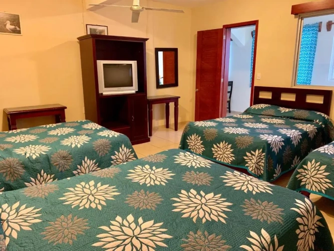 Classic Quadruple room