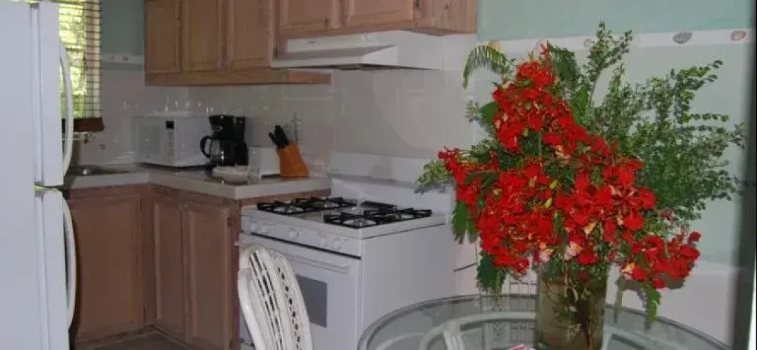 The Sugar Apple B & B