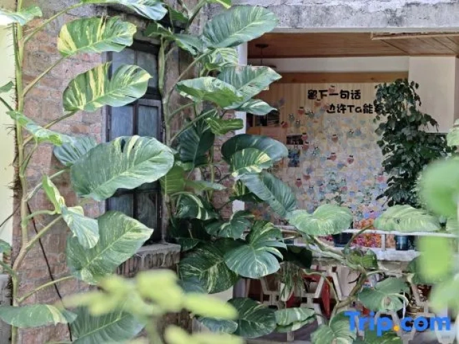 Outside