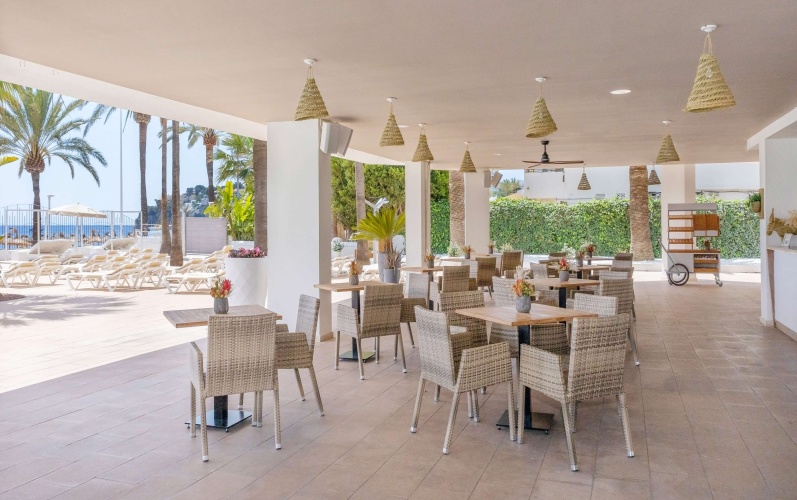 Sol House The Studio - Calviá Beach- Adults only photo 12