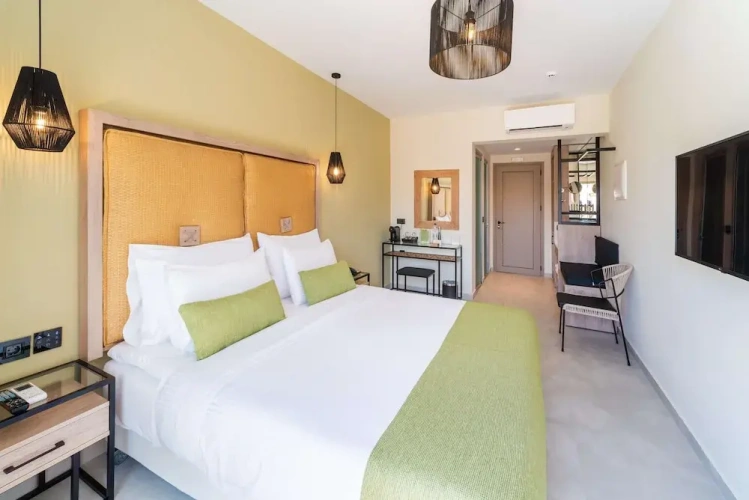 Standard Double room with balcony and with garden view