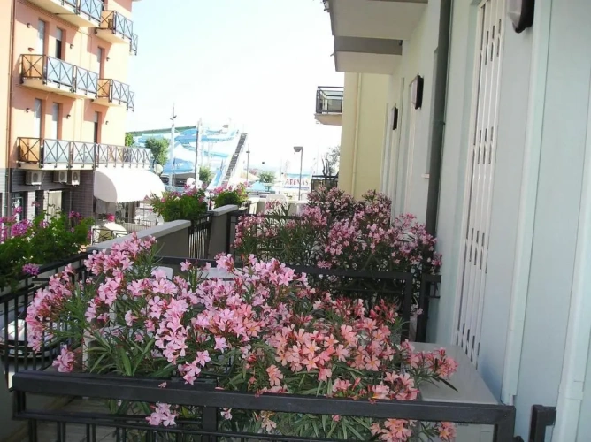 Standard Double room with balcony