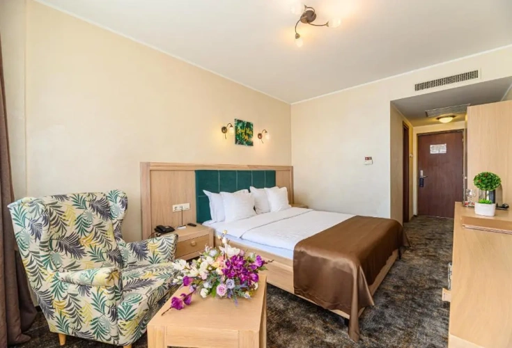 Standard Double room with balcony and with river view