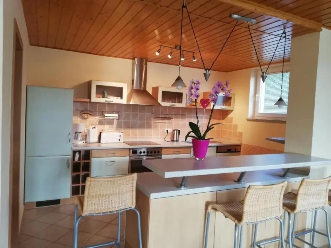 Deluxe Apartment