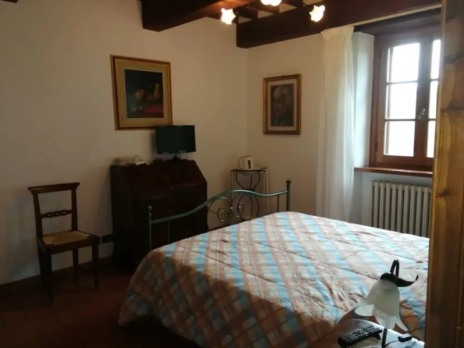 Standard Double room with garden view