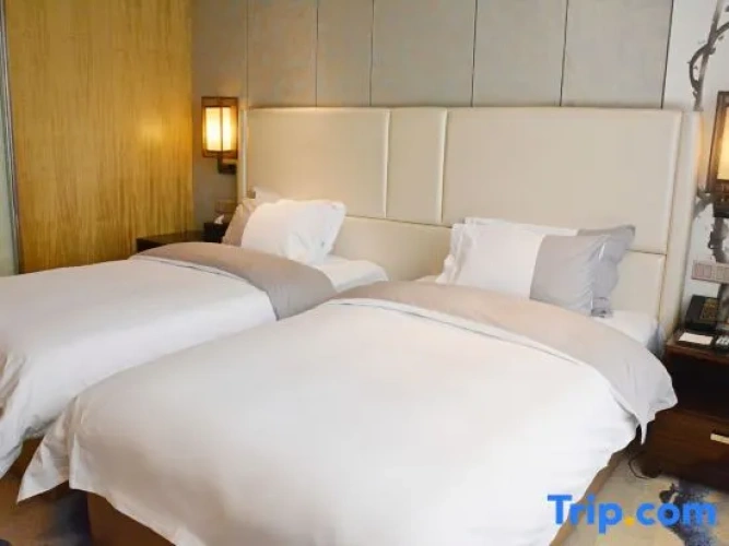Comfort Twin room