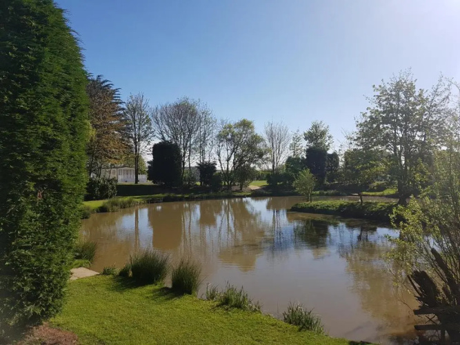 Sycamore Farm Park