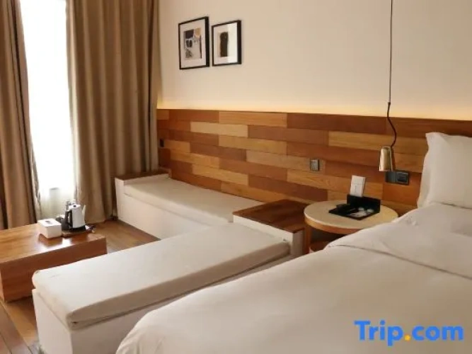 Standard Triple Family room