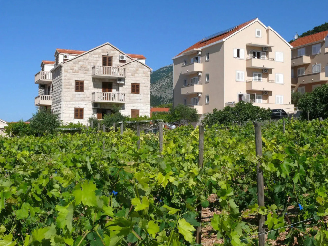 Villa Ana