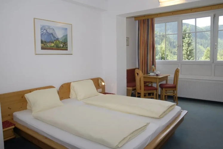 Standard Double room with mountain view