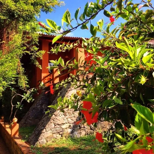 1 Bedroom Deluxe Double room