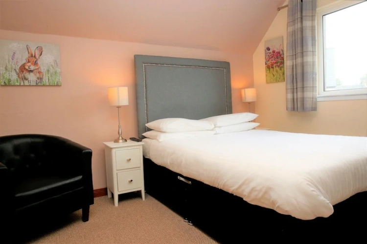 Deluxe Single room