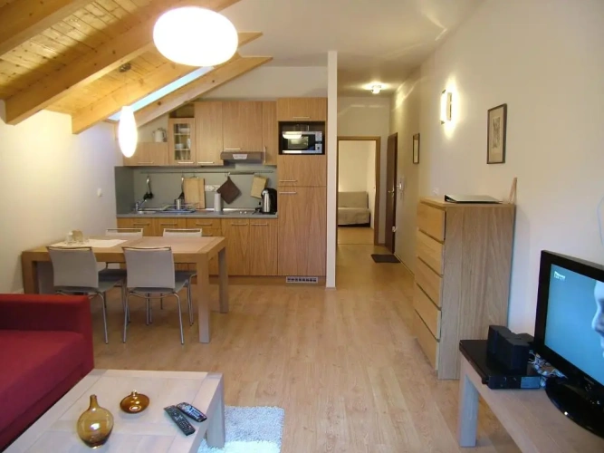 1 Bedroom Apartment with mountain view