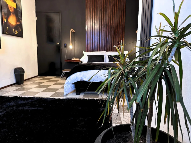HOMSTY