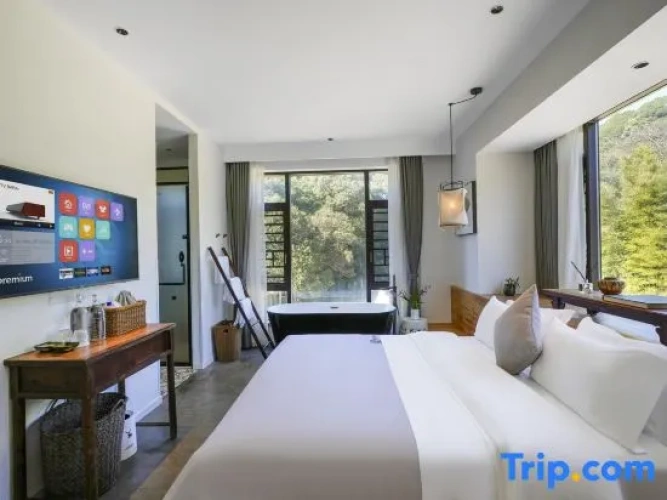 Deluxe Double room with mountain view