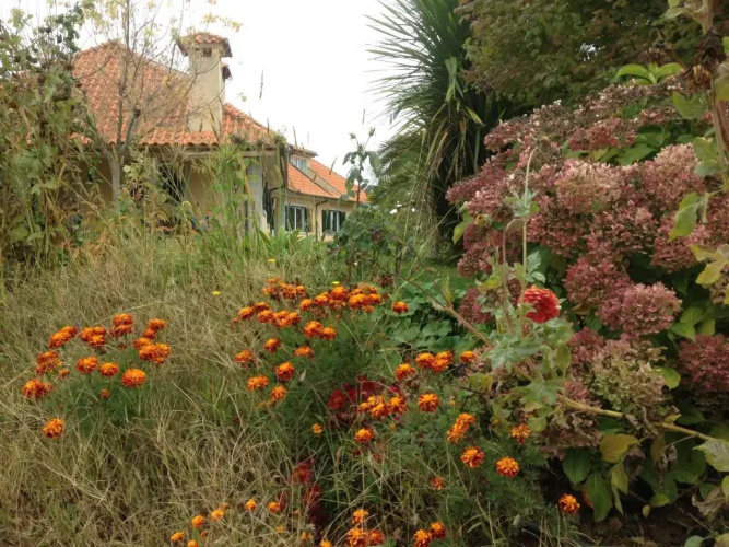 Casa Vale de Azibo