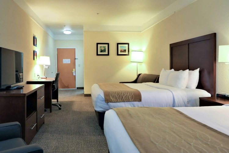Quadruple Suite