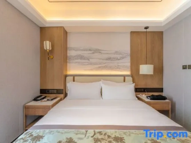 Business Double room with city view