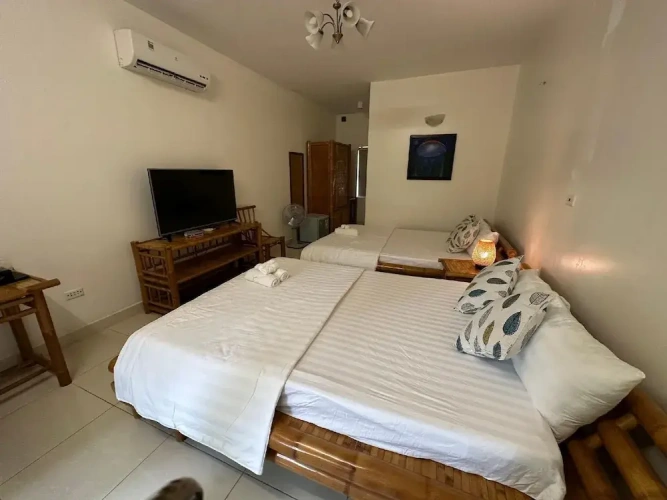 Standard Double room with garden view