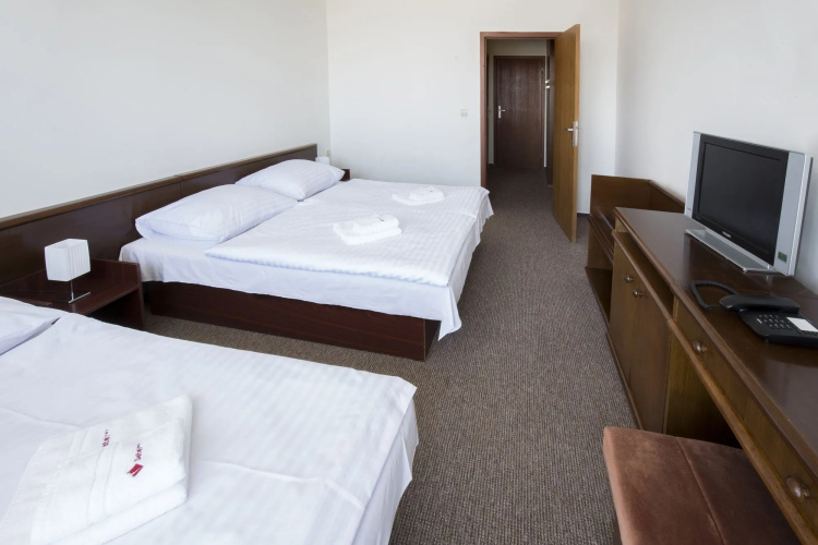Hotel Satel