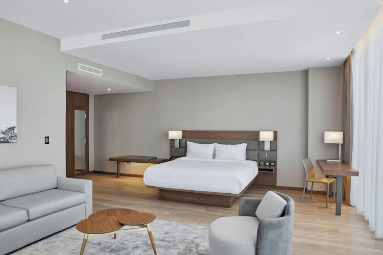 1 Bedroom Suite with city view
