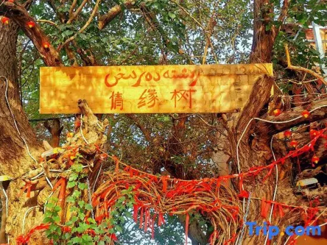 Turpan Grape Village Sand Therapy Homestay (Grape Valley Branch) - Turpan