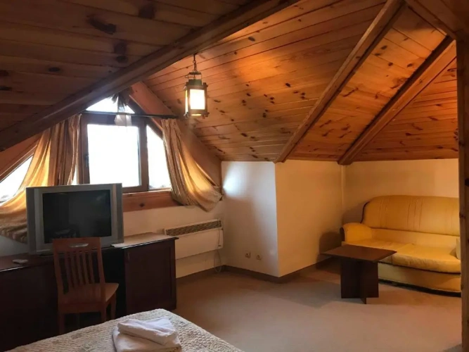 Standard Double room with mountain view