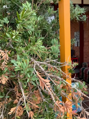 Chadstone Holiday W6 Villa
