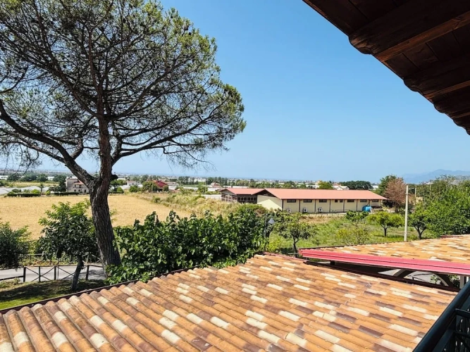 Comfort Quadruple room with garden view