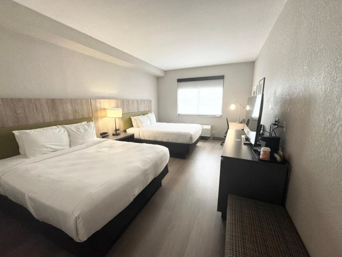 Guest rooms