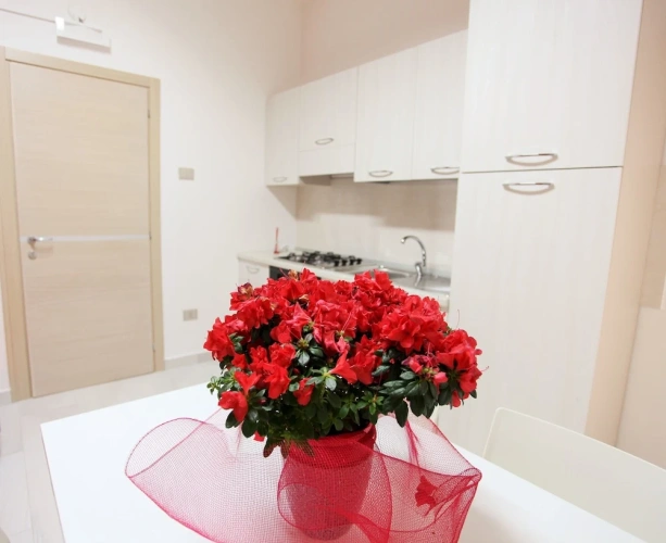1 Bedroom Deluxe Apartment