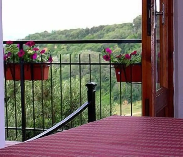 Standard Double room with balcony and with view