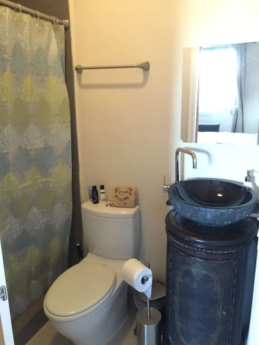 Luxury Tiny House