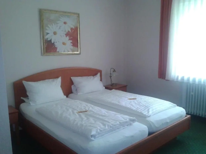 Standard Double room with balcony and with view