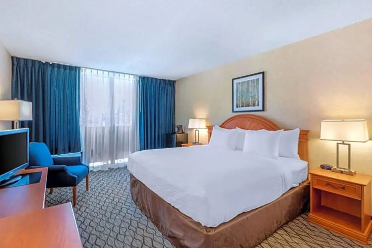 1 Room Suite