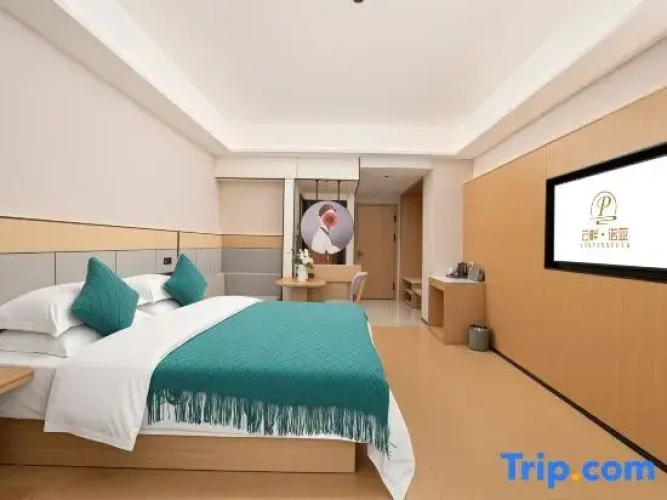 Standard Double room with river view