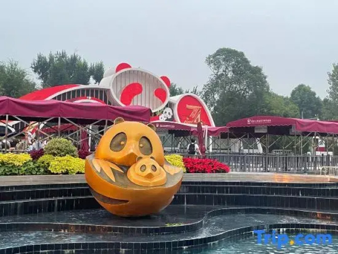 Lucky Panda Homestay