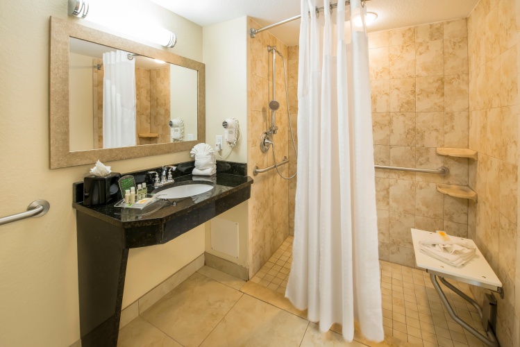 Holiday Inn Resort Orlando Lake Buena Vista photo 17