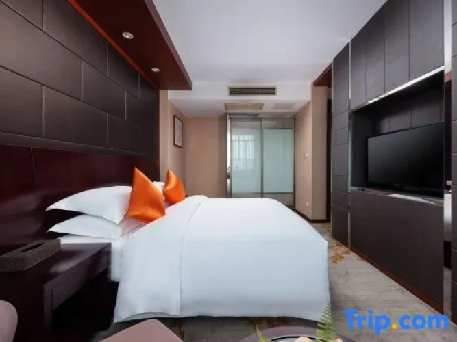 Standard Double Family room