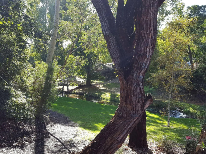 Wilsons Promontory Motel