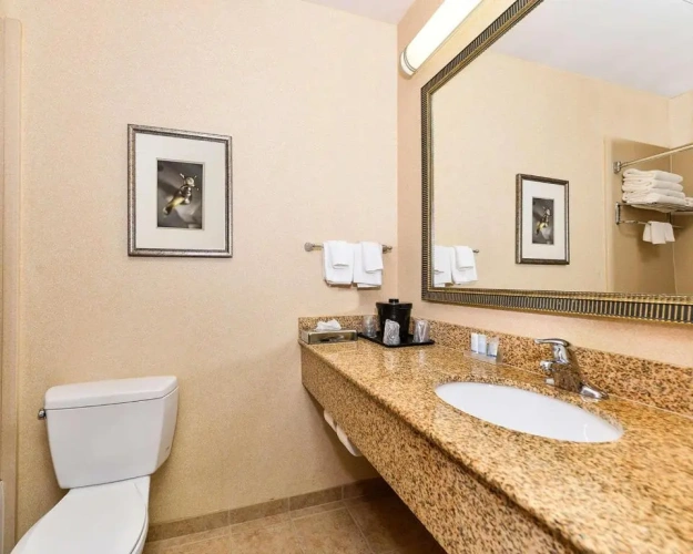 1 Bedroom Suite