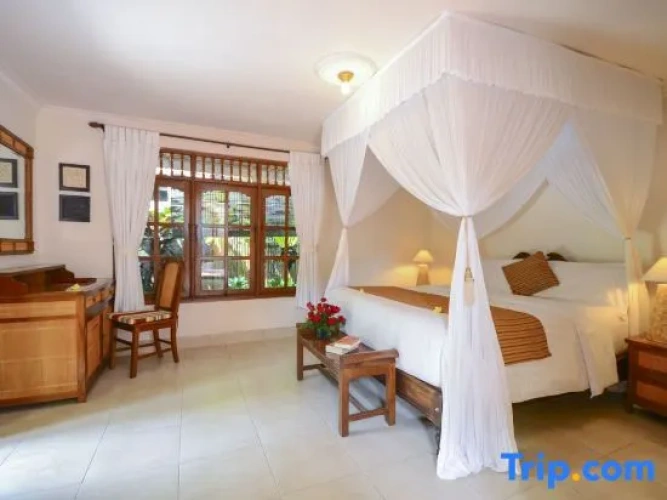 Superior Villa