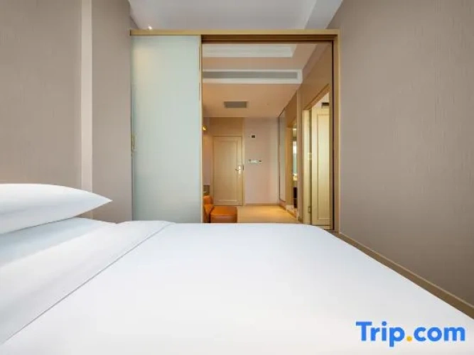 1 Bedroom Suite