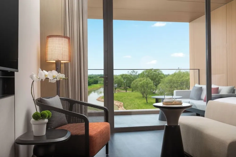 Standard Double room with lake view