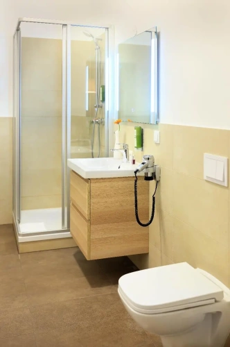 1 Bedroom Suite